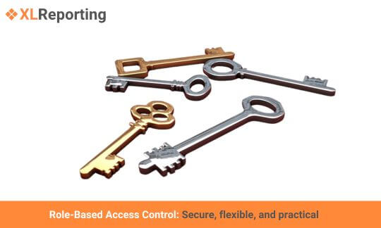 Role-Based Access Control in XLReporting