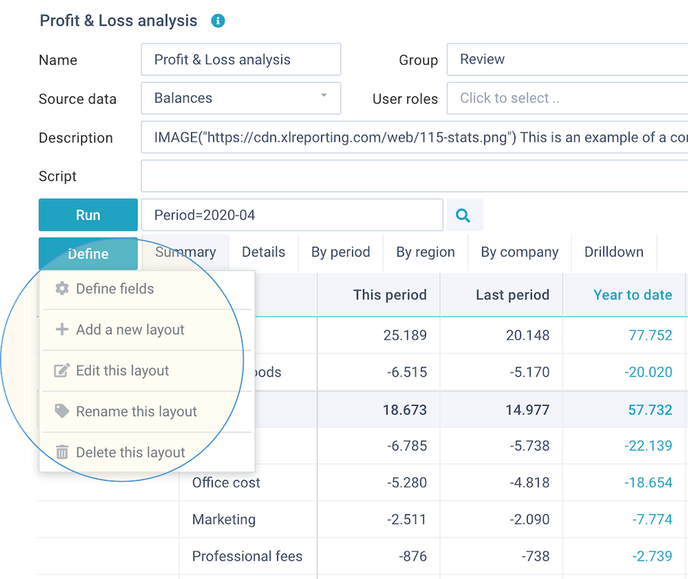 screenshot define reports fields